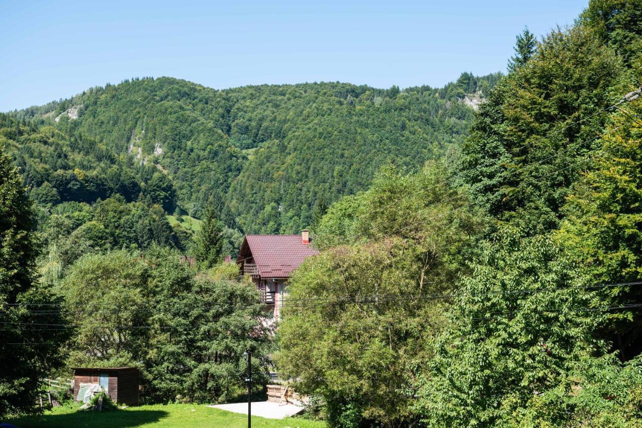 Oasis Mountain Villa Brasov Exterior photo